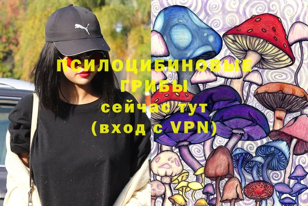 молекула духа Баксан
