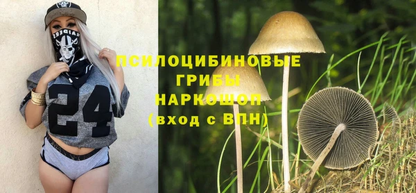 молекула духа Баксан