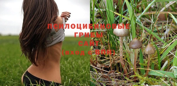 молекула духа Баксан