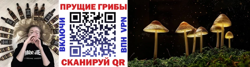 Псилоцибиновые грибы мицелий  мега   Сосновка 